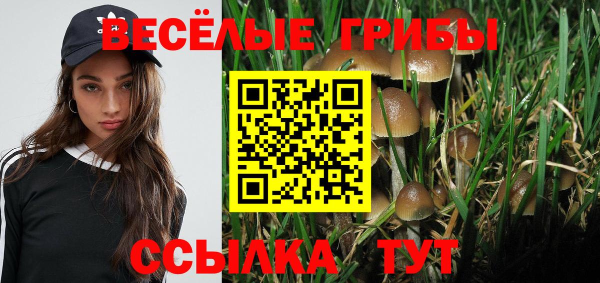 Галлюциногенные грибы мухоморы Чебаркуль